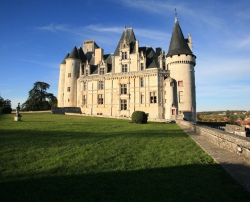 Photo Château de la Rochefoucauld - Location de gîte