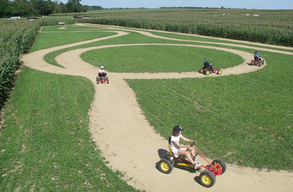 Photo Le Labyrinthe végétal à Romagne- Location de gîte