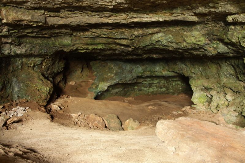 Photo Grottes de Chaffaud à Savigné - Location de gîte