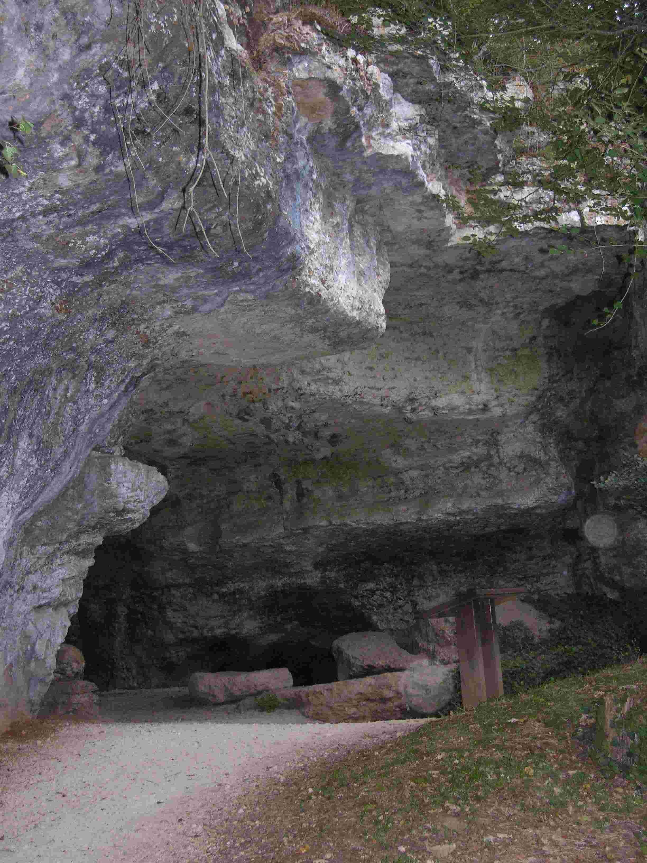 Photo Grottes de Chaffaud à Savigné - Location de gîte