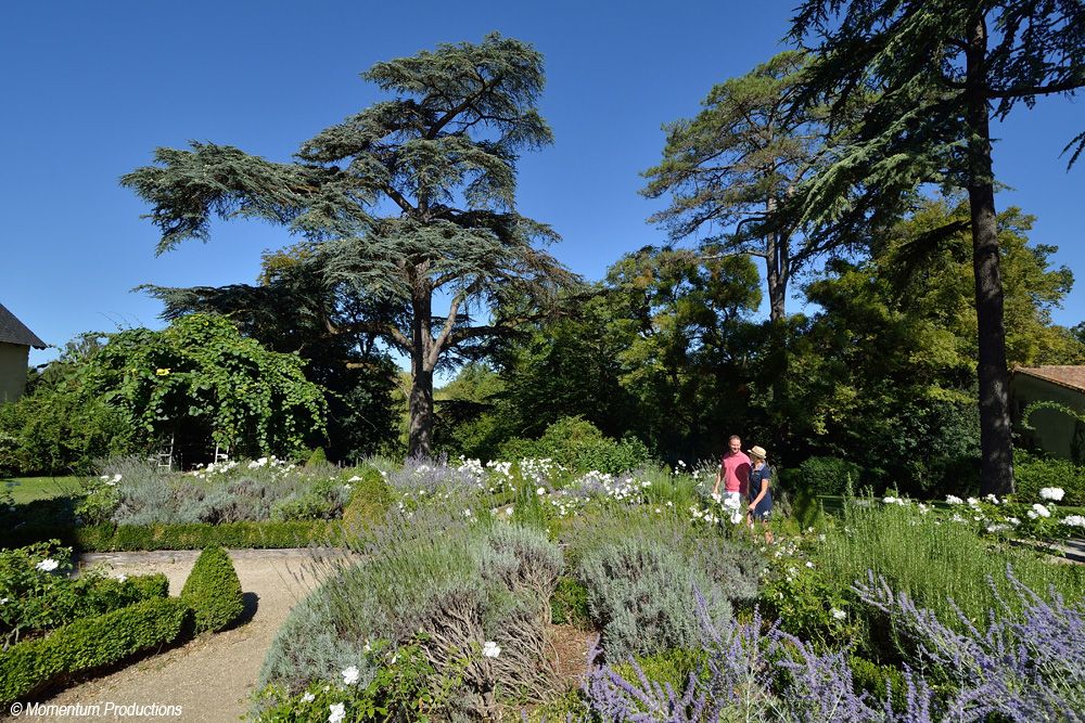 Photo Parc de la Belle à Magne - Location de gîte